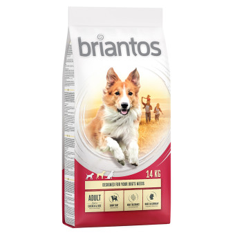 Briantos száraztáp gazdaságos csomagban - Adult csirke & rizs (2 x 14 kg) - Kisállat kiegészítők webáruház - állateledelek