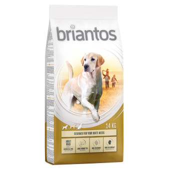 2x14kg Briantos Adult Maxi csirke & rizs száraz kutyatáp - Kisállat kiegészítők webáruház - állateledelek
