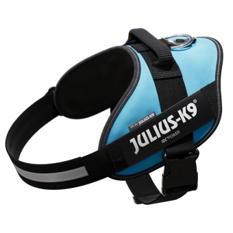 JULIUS-K9 IDC®-Powerhám - akvamarin - XL méret - Kisállat kiegészítők webáruház - állateledelek