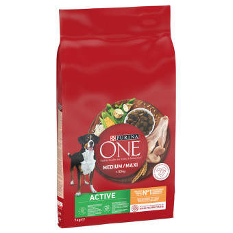 7kg PURINA ONE Medium/Maxi Active csirke száraz kutyatáp - Kisállat kiegészítők webáruház - állateledelek