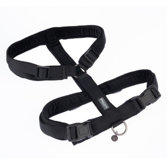 Nomad Tales Blush kutyahám