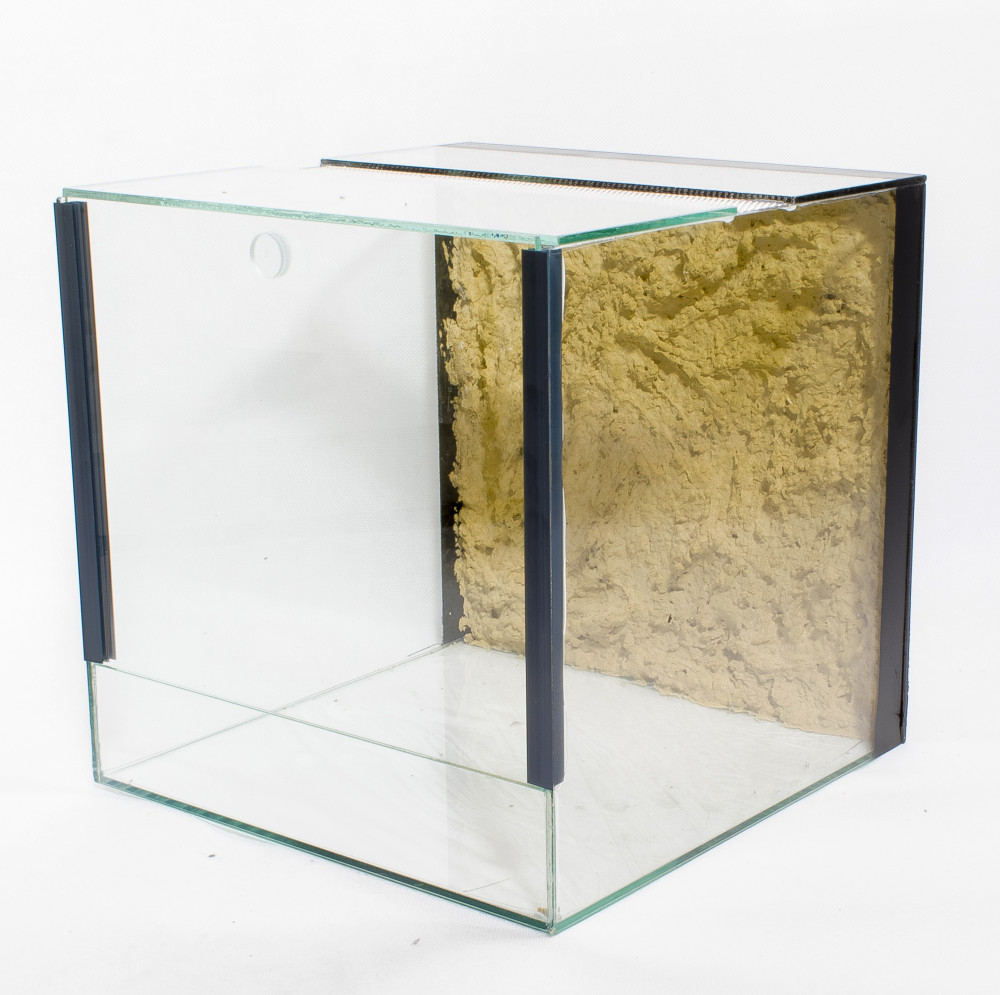 Kisállat webáruház - 20 x 20 x 20 cm | Prémium minőségű terrárium | 2D Háttérrel termékek