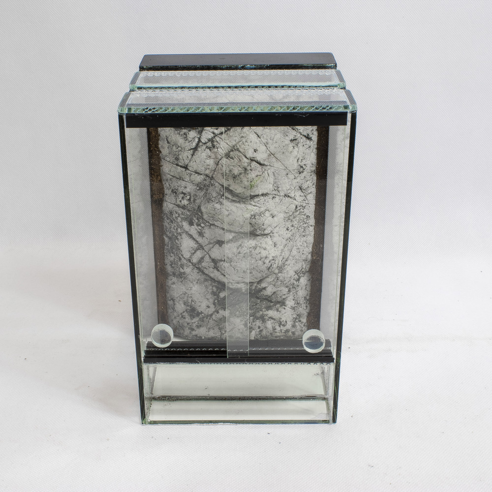 Kisállat webáruház - 40 x 40 x 60 cm | Prémium minőségű terrárium | 3D sziklaháttérrel termékek