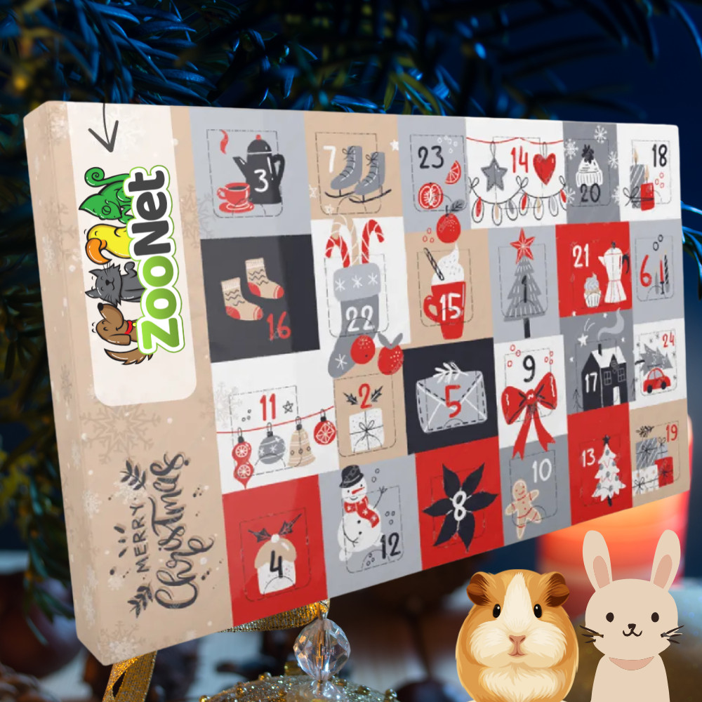 Kisállat webáruház - Adventi naptár kisemlősöknek – Egyedileg összeállított, természetes karácsonyi finomságokkal termékek