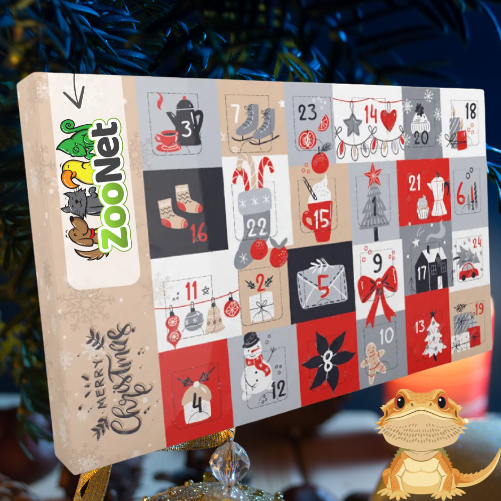 Kisállat webáruház - Adventi naptár szakállas agámáknak – Egyedileg összeállított természetes finomságokkal termékek