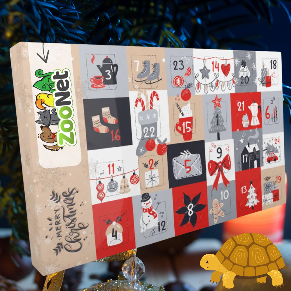 Kisállat webáruház - Adventi naptár szárazföldi teknősöknek – Egyedileg összeállított természetes növényi finomságokkal termékek