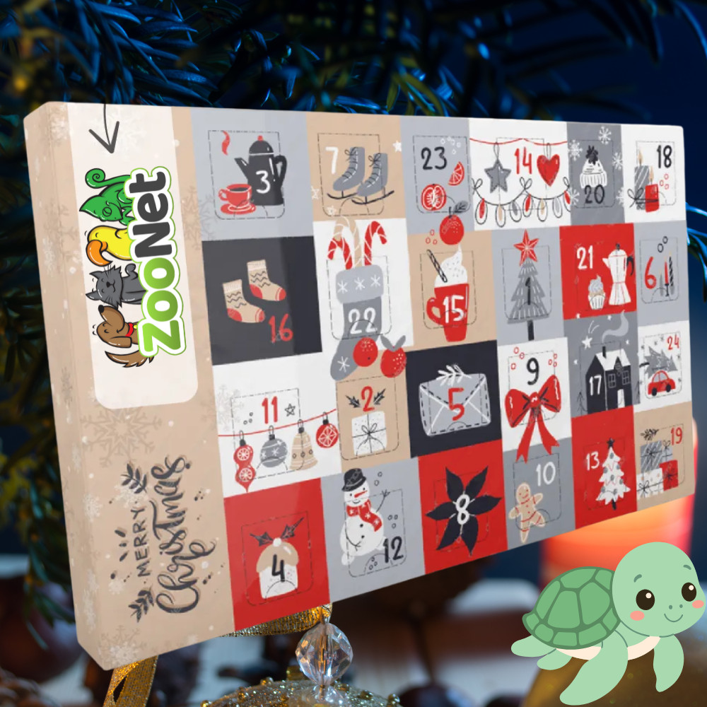 Kisállat webáruház - Adventi naptár vízi teknősöknek – Egyedileg összeállított ünnepi finomságválogatás termékek