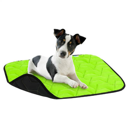 Kisállat webáruház - AiryVest | Fekhely AV | M, zöld-fekete - 80x55 cm termékek