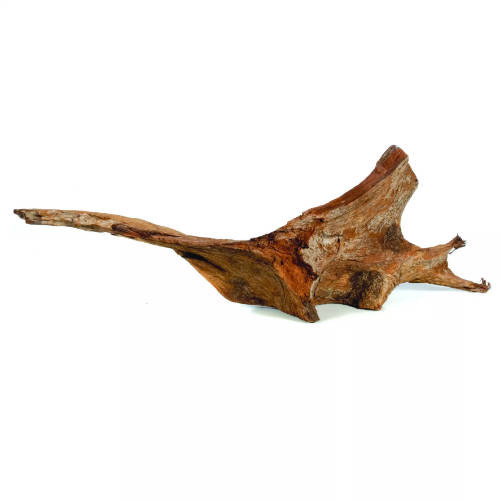 Kisállat webáruház - AquaEl Mangroove decor Large | Akvárium dísz (Mangrove gyökér) termékek