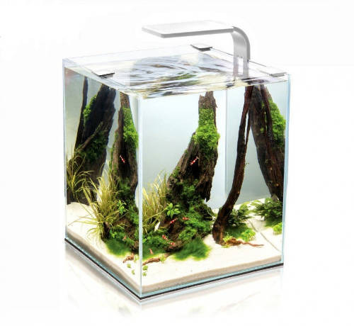 Kisállat webáruház - Aquael Shrimp Set Smart Day&Nnight 10 white | Nano akvárium (fehér) garnélarákoknak és kisebb halaknak - 20x20x25 cm termékek