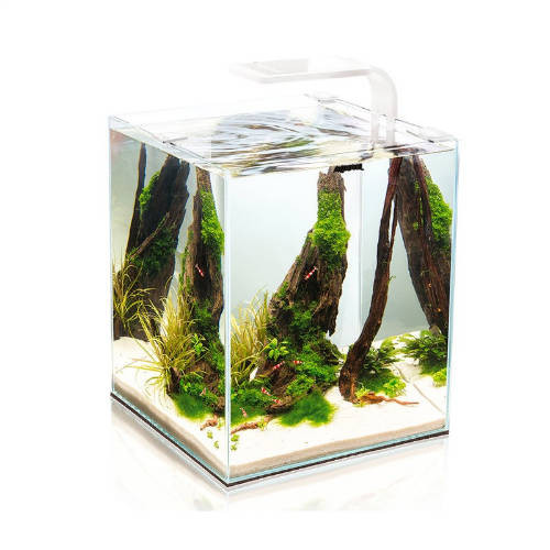 Kisállat webáruház - Aquael Shrimp Set Smart Day&Nnight 30 black | Nano akvárium (fehér) garnélarákoknak és kisebb halaknak - 29x29x35 cm termékek