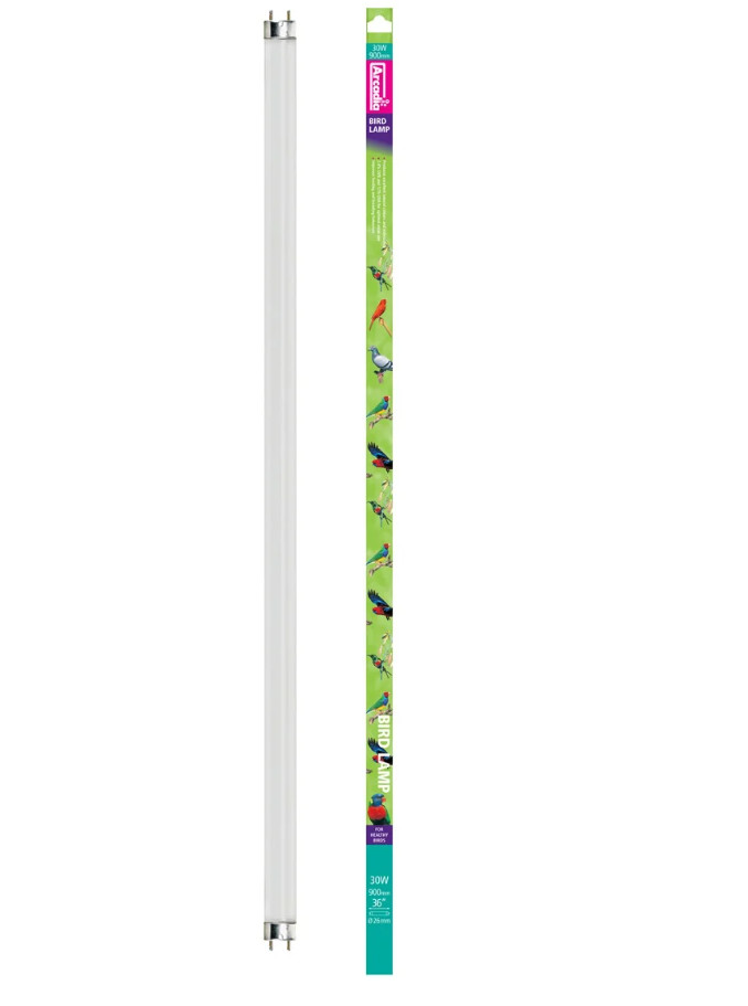Kisállat webáruház - Arcadia | BIRD LAMP T8 | UVB fénycső a D3-vitamin termelés támogatásához díszmadarak számára 2.4% - 30 W/90 cm termékek
