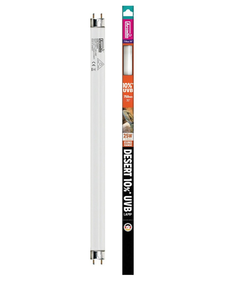 Kisállat webáruház - Arcadia | Euro Range Desert UVB Tube T8 | Sivatagi UVB fénycső magas UV-igényű hüllőknek 10% - 25 W/75 cm termékek