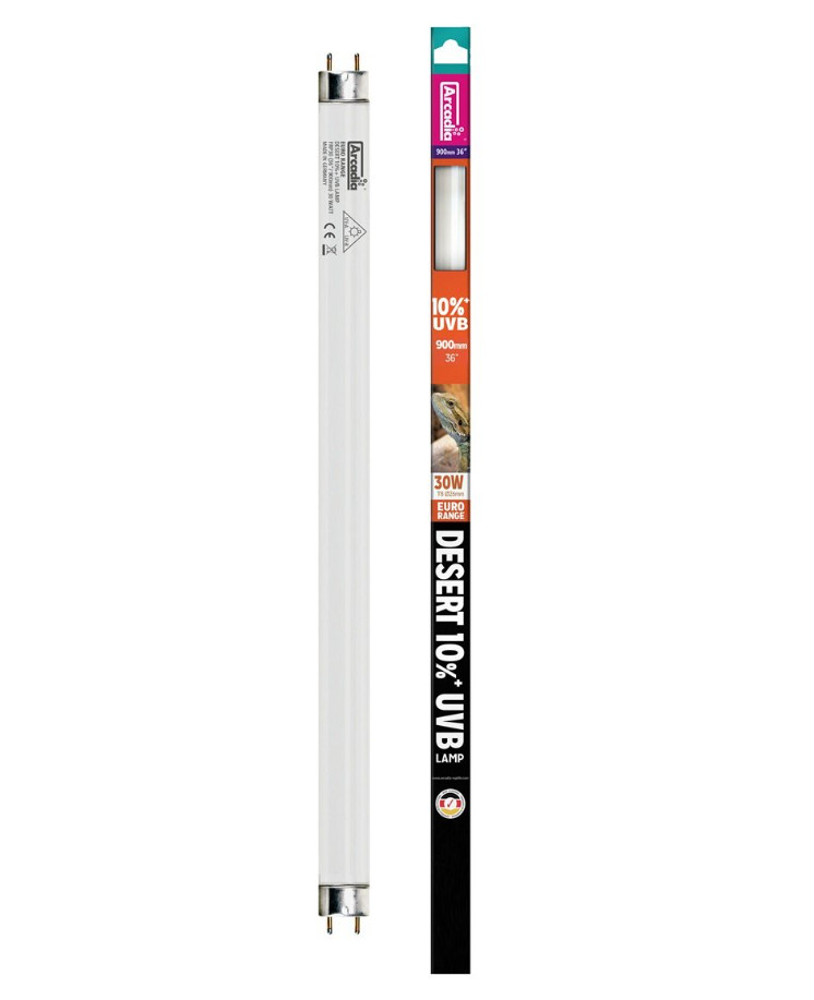 Kisállat webáruház - Arcadia | Euro Range Desert UVB Tube T8 | Sivatagi UVB fénycső magas UV-igényű hüllőknek 10% - 30 W/90 cm termékek