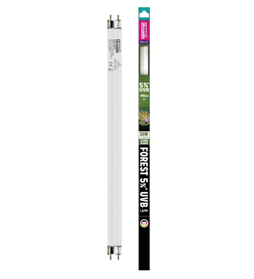 Kisállat webáruház - Arcadia | Euro-Range Forest UV Tube T8 | UVB fénycső nappali és erdőségi hüllők számára 5% – 30 W/90 cm termékek