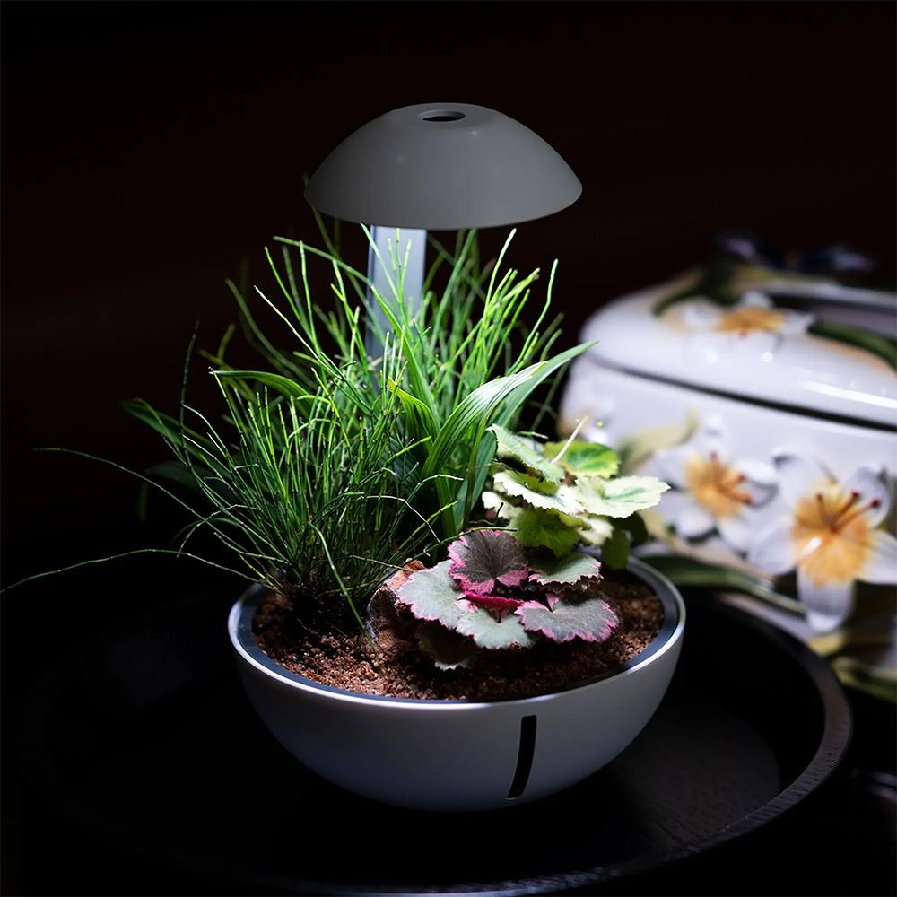 Kisállat webáruház - Chihiros | Tiny Terrarium Egg – Mini növényinstallációkhoz és mohakompozíciókhoz készült LED terrárium (10 W, 550 lm) termékek