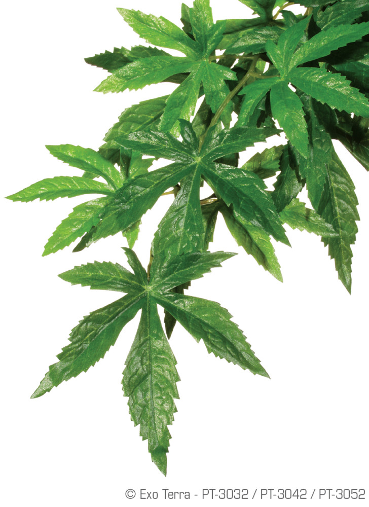 Kisállat webáruház - Exo Terra Abuliton | Műnövény - L termékek