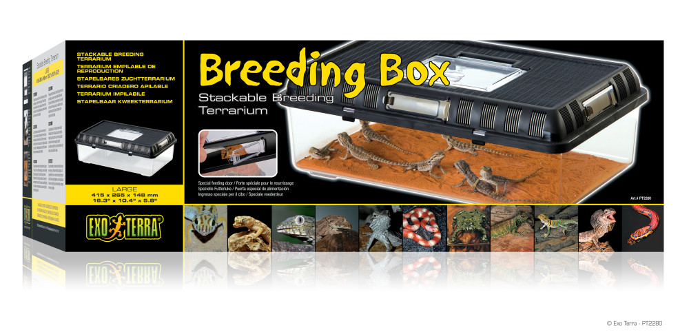 Kisállat webáruház - Exo Terra Breeding Box | Tenyésztő doboz - Large termékek