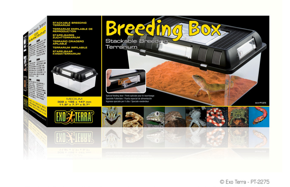 Kisállat webáruház - Exo Terra Breeding Box | Tenyésztő doboz - Medium termékek