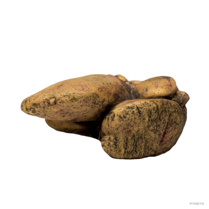 Kisállat webáruház - Exo Terra Elevated Outcrop Basking Spot | Sütkérező szikla termékek