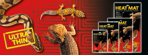 Kisállat webáruház - Exo Terra Heat Mat | Fűtőlap - 4 W termékek