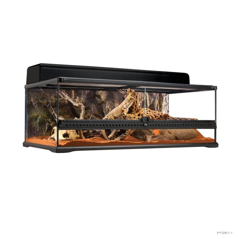 Kisállat webáruház - Exo Terra Natural Large Low | Terrárium - 90 x 45 x 30 cm termékek