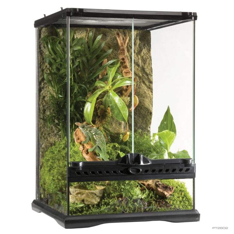 Kisállat webáruház - Exo Terra Natural Mini Tall | Terrárium - 30 x 30 x 45 cm termékek
