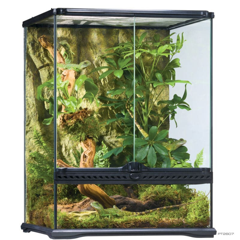 Kisállat webáruház - Exo Terra Natural Small Tall | Terrárium - 45 x 45 x 60 cm termékek