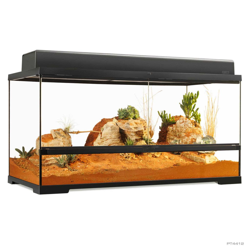 Kisállat webáruház - Exo Terra Pro Terrarium Large Wide | prémium terrárium 90 x 45 x 45 cm termékek