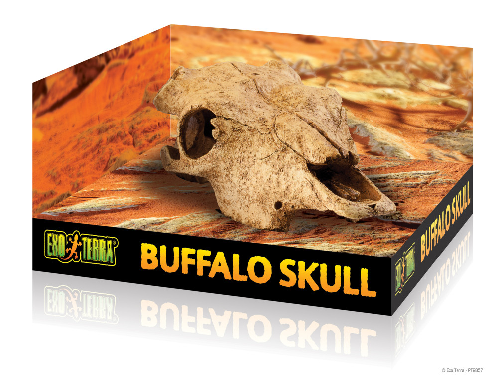 Kisállat webáruház - Exo terra Buffalo Skull | Bölény koponya - nagy termékek