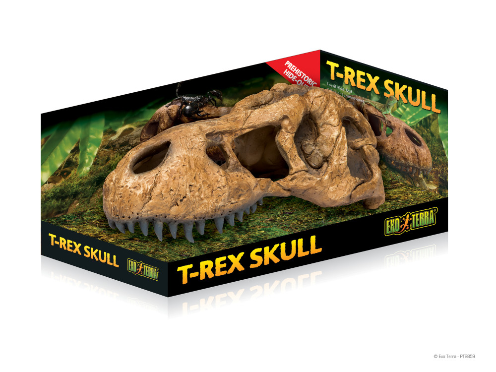 Kisállat webáruház - Exo terra T-Rex Skull | T-rex koponya - L-es termékek