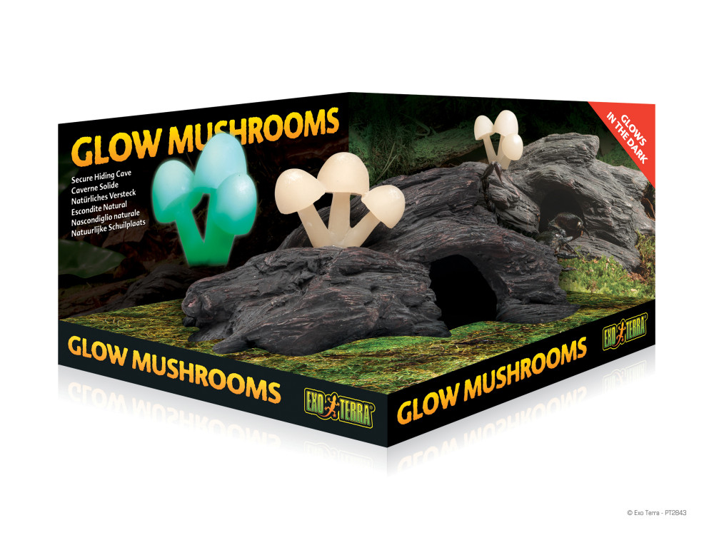 Kisállat webáruház - ExoTerra Glow Mushrooms | Fatörzs fluoreszkáló gombával - 23cm termékek