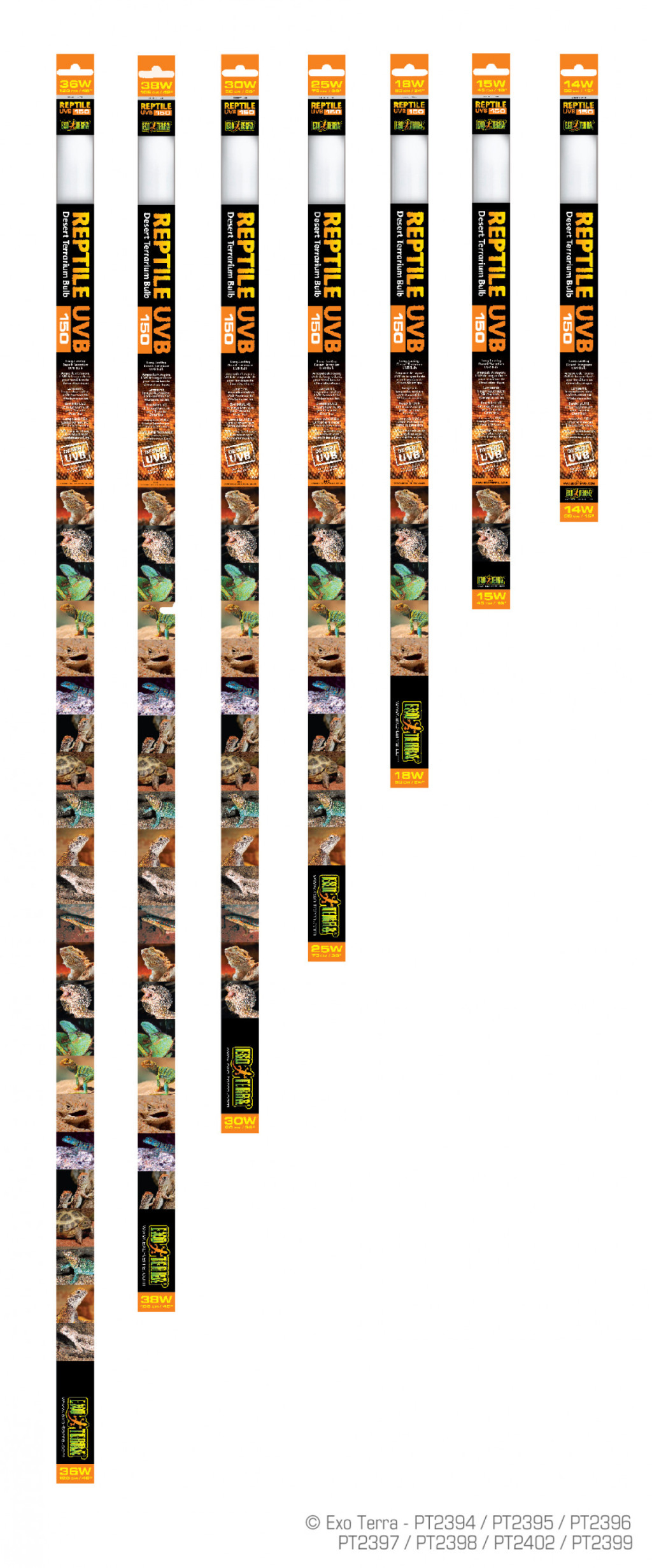 Kisállat webáruház - ExoTerra | Repti Glo 10.0 Desert - fénycső - T8 - 120cm - 40w termékek