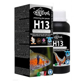 Kisállat webáruház - Haquoss | H13 Mycosis | Folyékony készítmény gombás fertőzések kezelésére édesvízi és tengeri díszhalaknál – 100 ml termékek