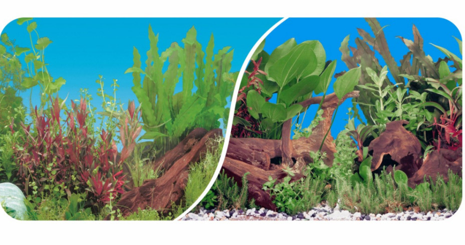 Kisállat webáruház - JK | Akváriumi háttér - 60 cm/15 m termékek