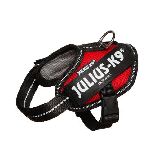 Kisállat webáruház - Julius-K9 | IDC Powair | Hám (piros,felirat) kutyák részére - 2XS termékek
