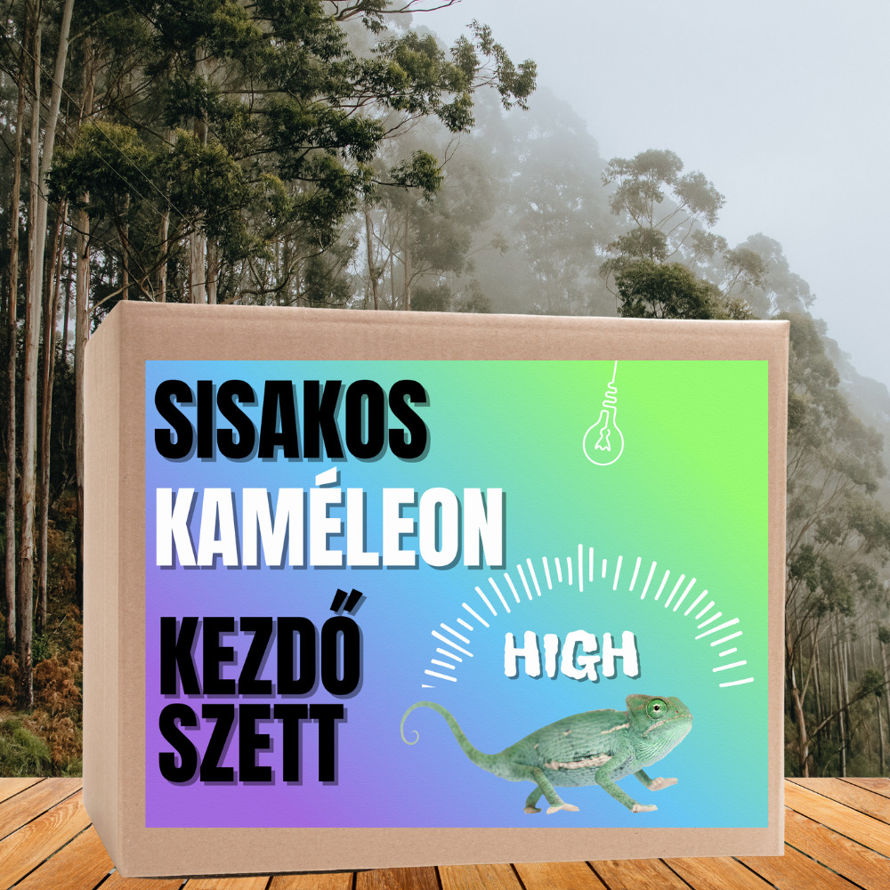 Kisállat webáruház - Kaméleon HIGH kezdőcsomag - sisakos és párduc bébi kaméleonoknak termékek