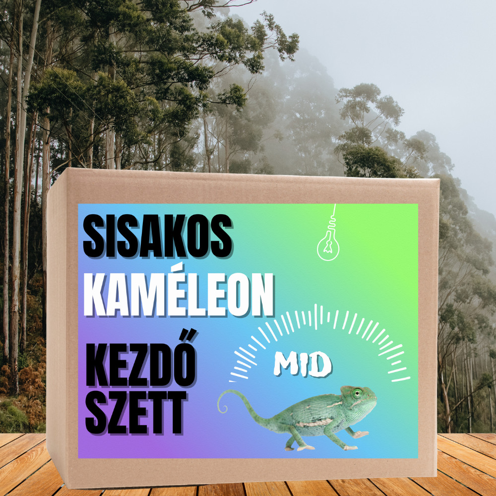 Kisállat webáruház - Kaméleon MID kezdőcsomag - sisakos és párduc bébi kaméleonoknak termékek