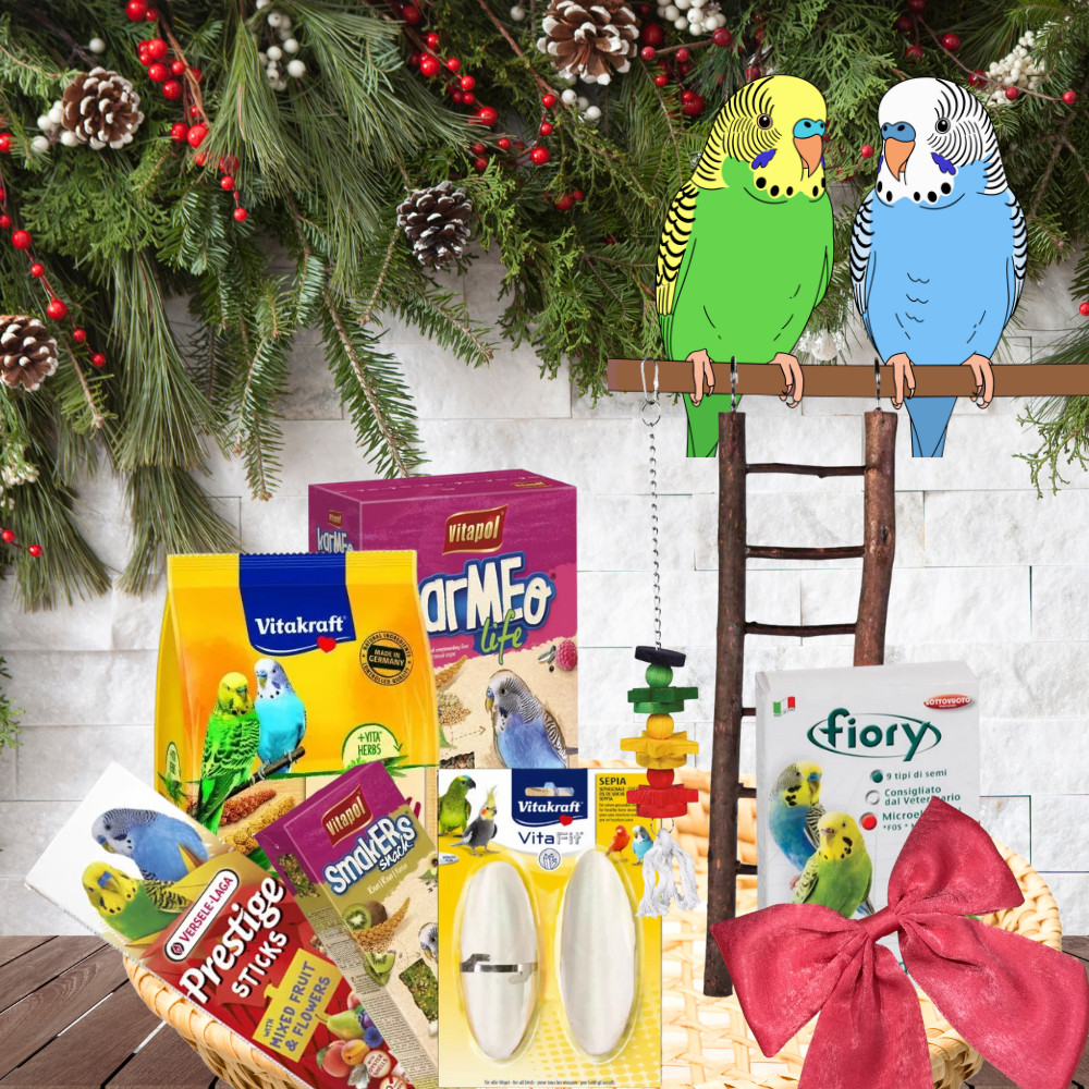 Kisállat webáruház - Karácsonyi Ajándékcsomag Hullámos papagájoknak I Rainbow Treats & Toys Bundle - Szivárvány Finomság & Játék Csomag termékek