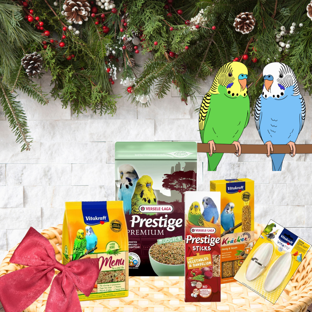 Kisállat webáruház - Karácsonyi Ajándékcsomag Hullámos papagájoknak I Tweet & Treat Bundle - Csipogás és finomság termékek