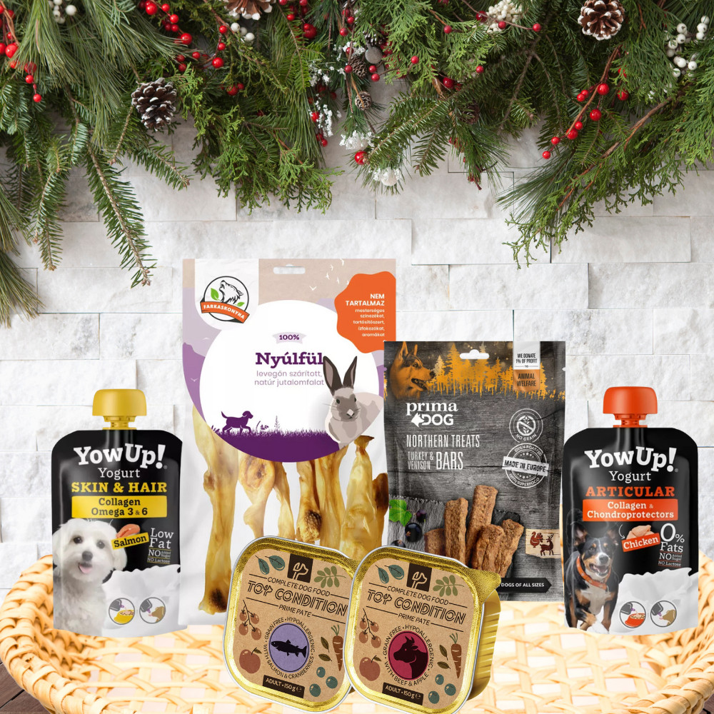 Kisállat webáruház - Karácsonyi Ajándékcsomag Kutyáknak | Holiday Health & Taste Box termékek