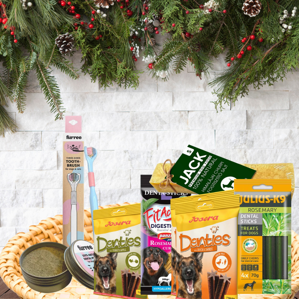 Kisállat webáruház - Karácsonyi Ajándékcsomag Kutyáknak | Winter Dental Care Box termékek