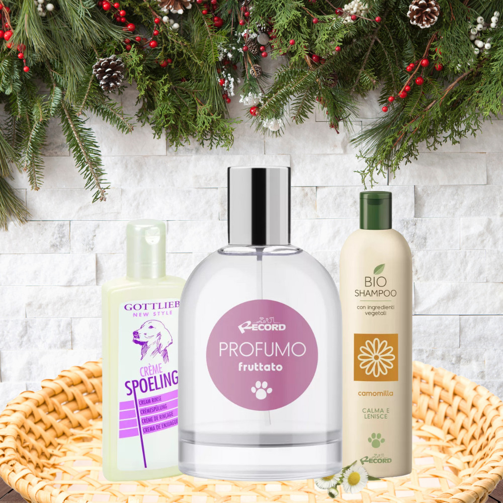 Kisállat webáruház - Karácsonyi Ajándékcsomag Kutyáknak | Winter Spa & Beauty Box termékek