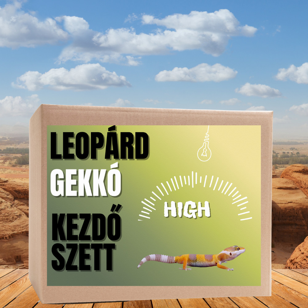Kisállat webáruház - Leopárdgekkó HIGH kezdőcsomag - bébi gekkóknak termékek