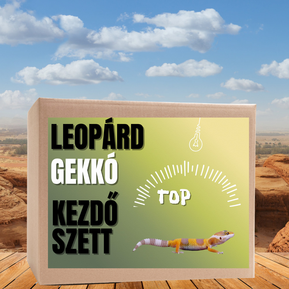 Kisállat webáruház - Leopárdgekkó TOP kezdőcsomag - bébi gekkóknak termékek