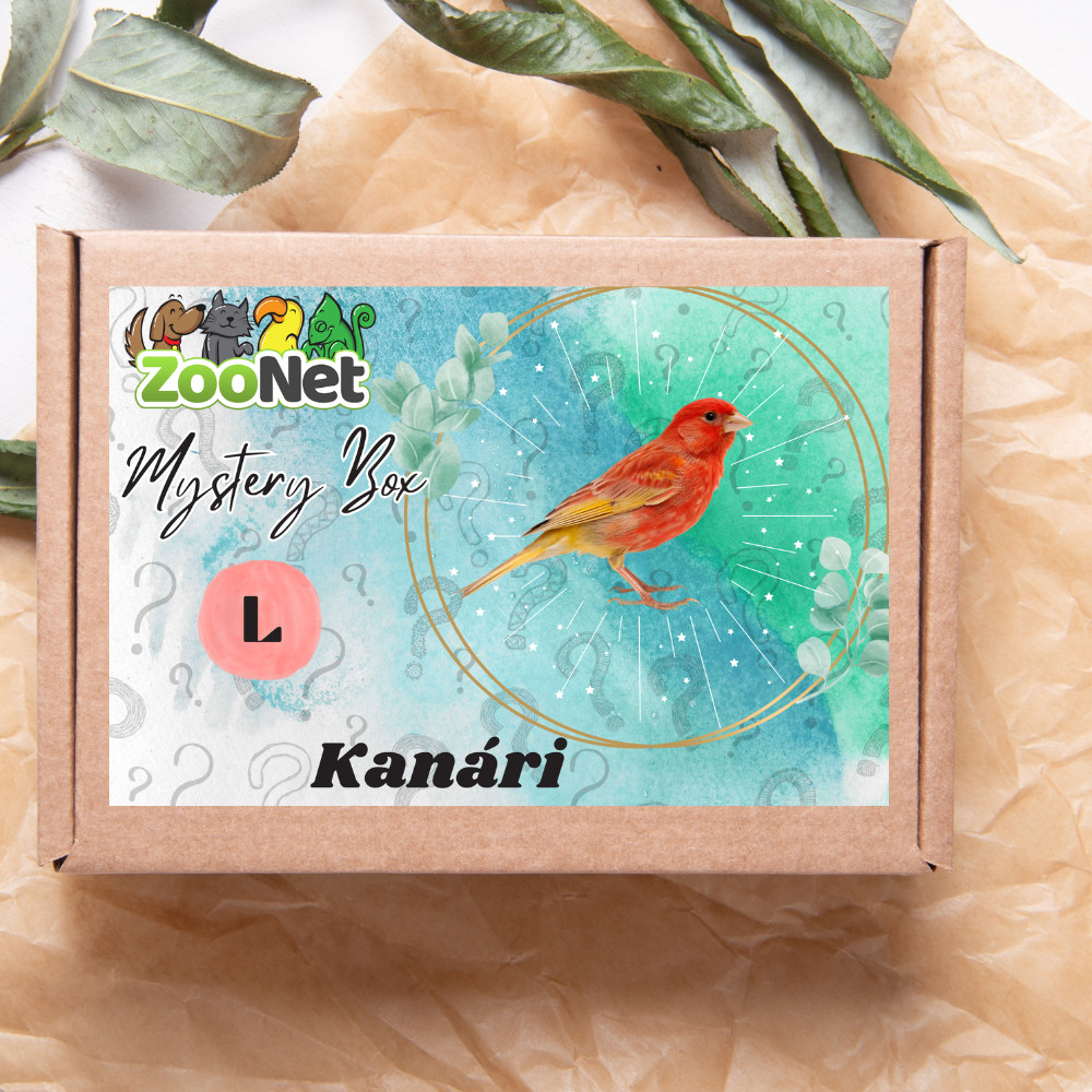 Kisállat webáruház - Mystery Box ajándékdoboz Kanárinak – L termékek