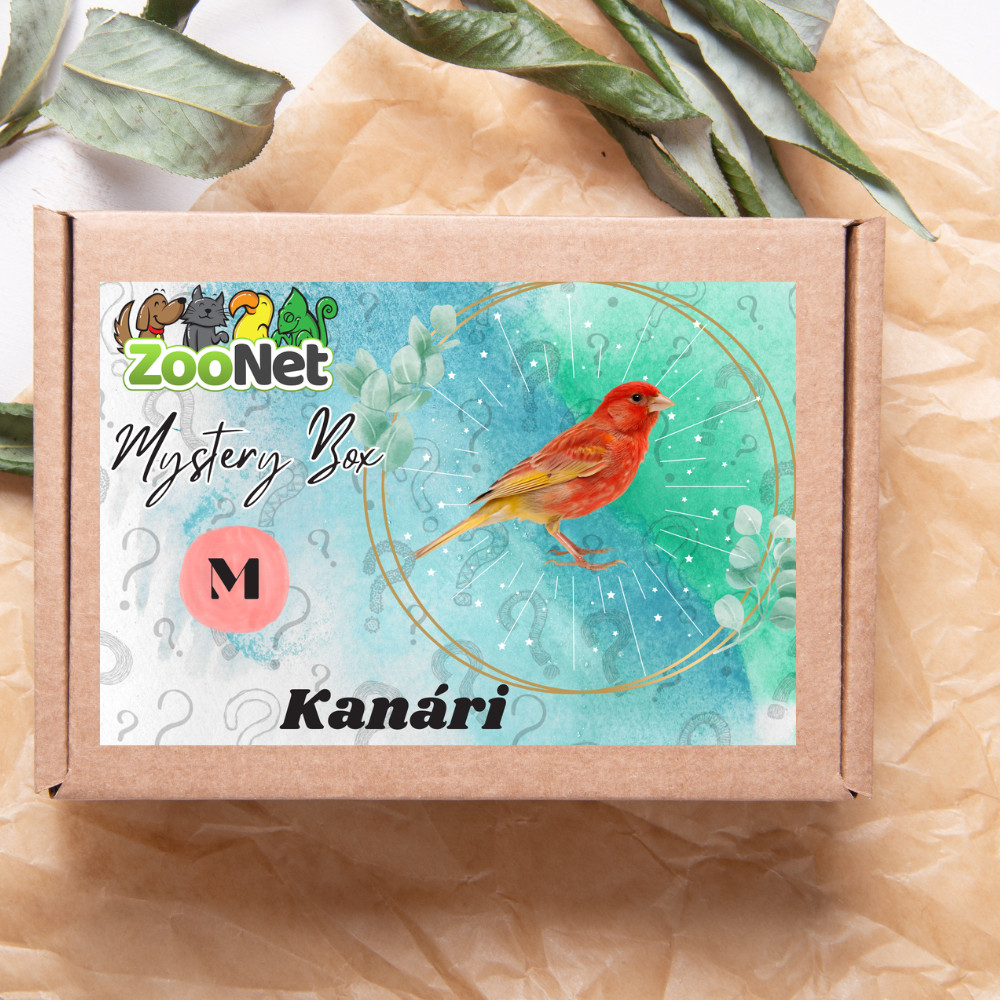 Kisállat webáruház - Mystery Box ajándékdoboz Kanárinak – M termékek