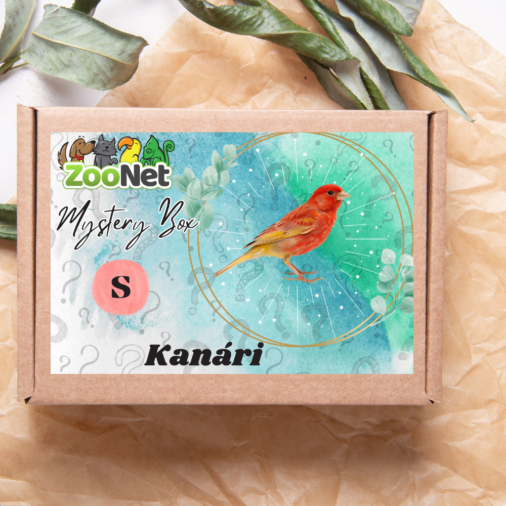 Kisállat webáruház - Mystery Box ajándékdoboz Kanárinak – S termékek