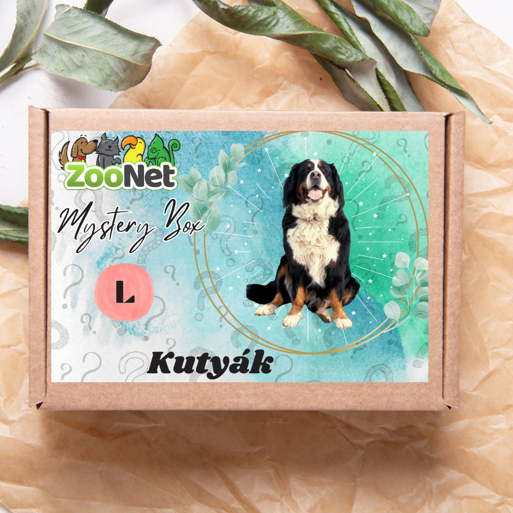 Kisállat webáruház - Mystery Box ajándékdoboz Kutyáknak– L termékek