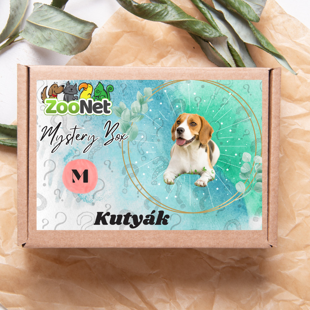 Kisállat webáruház - Mystery Box ajándékdoboz Kutyáknak– M termékek